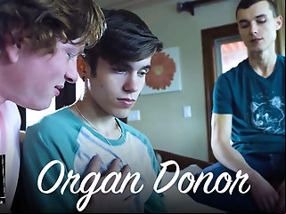 twink starts liking men heart transplant